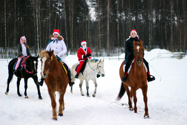 Новогодний праздник
