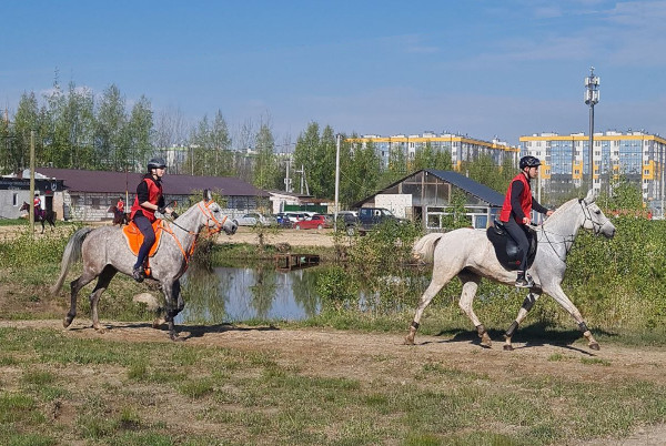 Пробеги в апреле