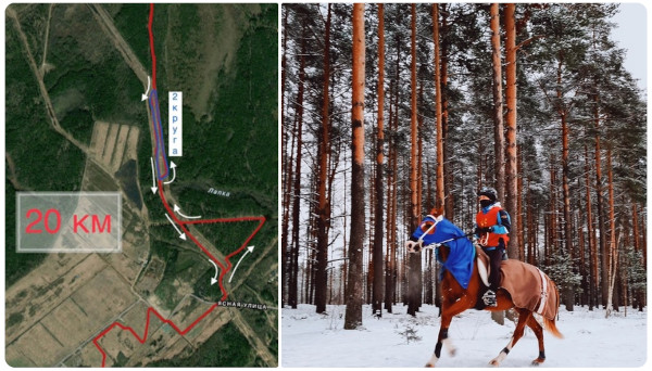Пробеги по снегу