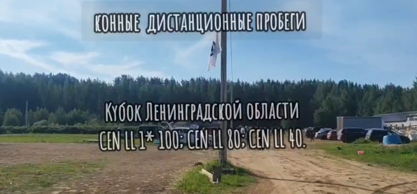 Кубок ЛО
