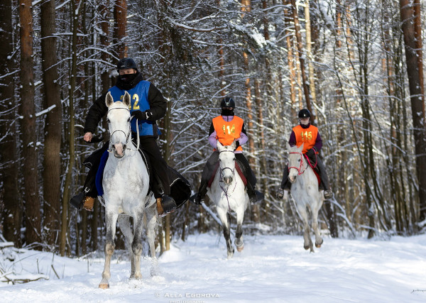 На трассе