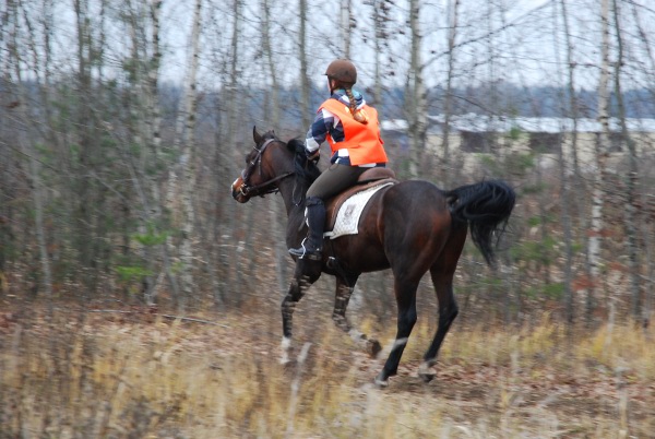 Paradny