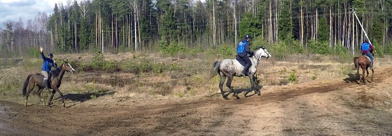 Пробег в Истоке