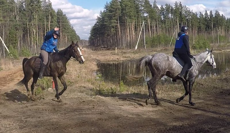 Пробег в Истоке