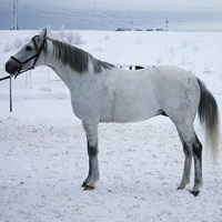 Секундомер