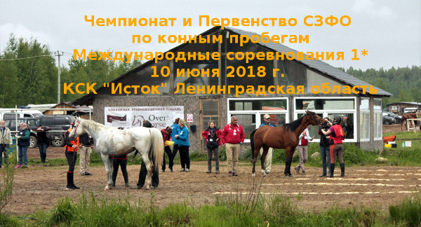 ЧиП СЗФО-2018 в Истоке