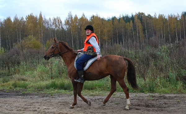 Анисимов А.Б. на Коде