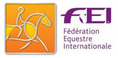 FEI Endurance