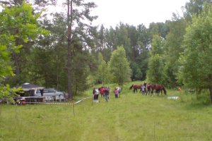 Фотография площадки соревнований у Крибелевых 28.06.14