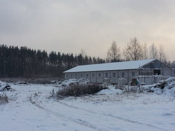 Новая конюшня