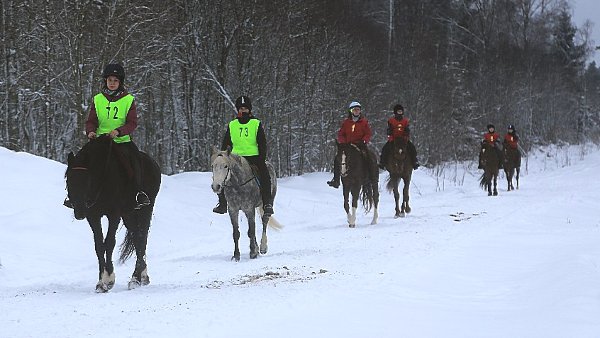 На трассе 14.01.2017